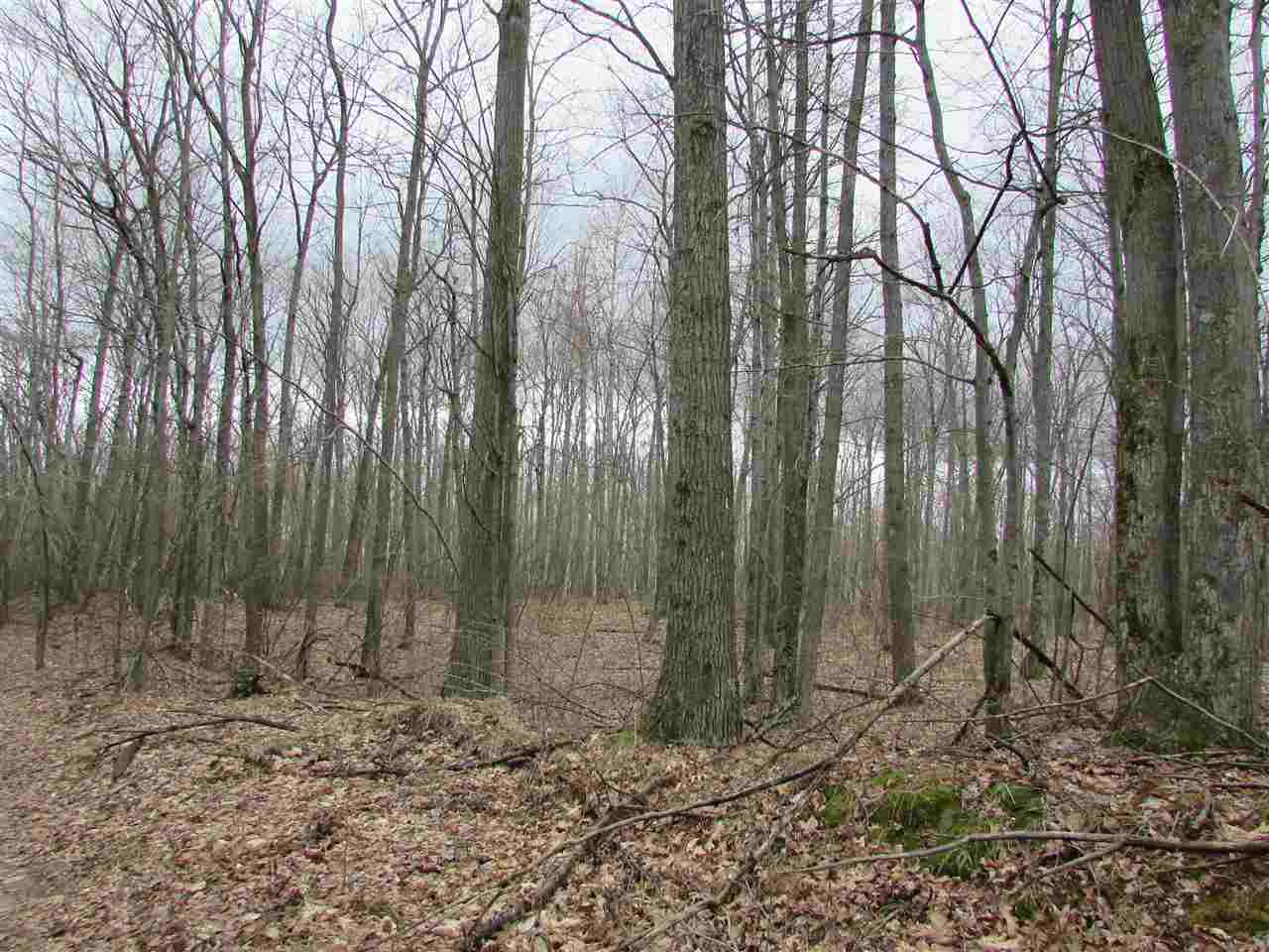 2 East Townline Lake Road Harrison, MI 48625 - Photo 9 of 13
