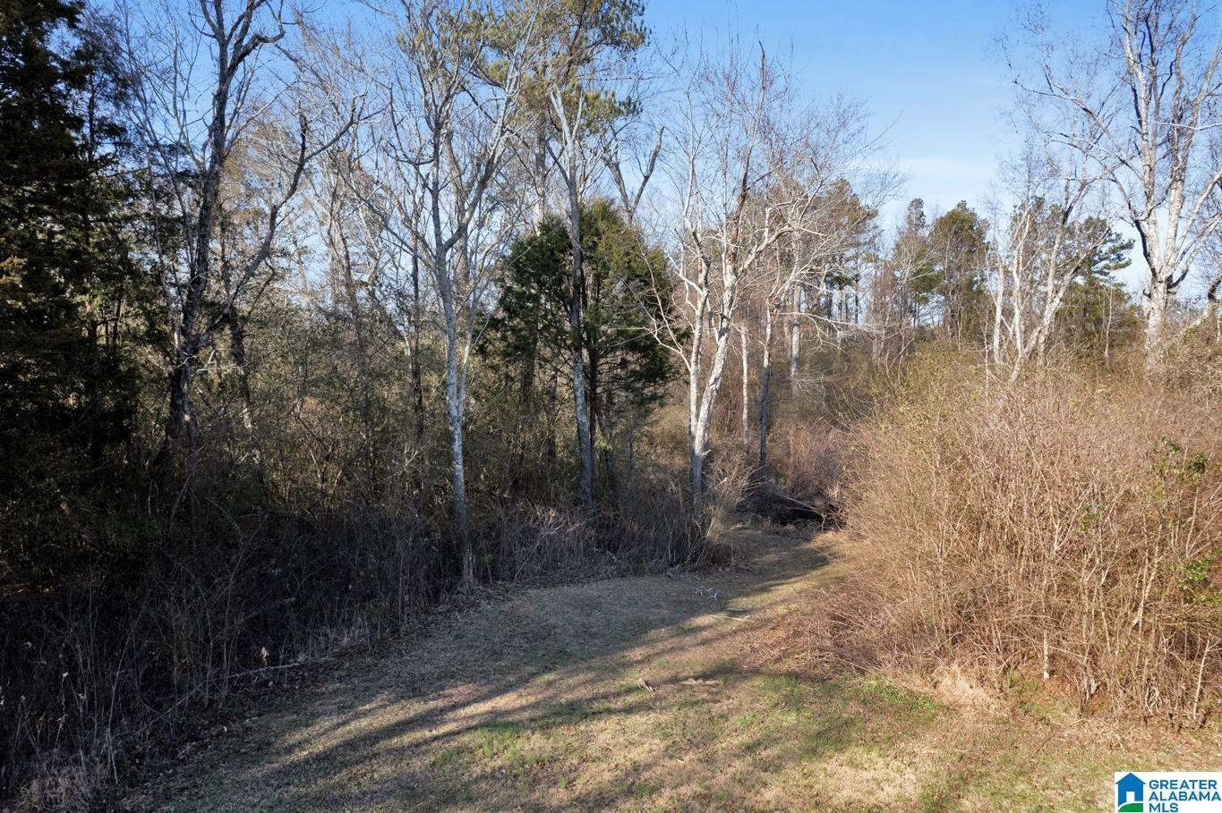 145 Fall Branch Road Remlap, AL 35133 - Photo 45 of 48