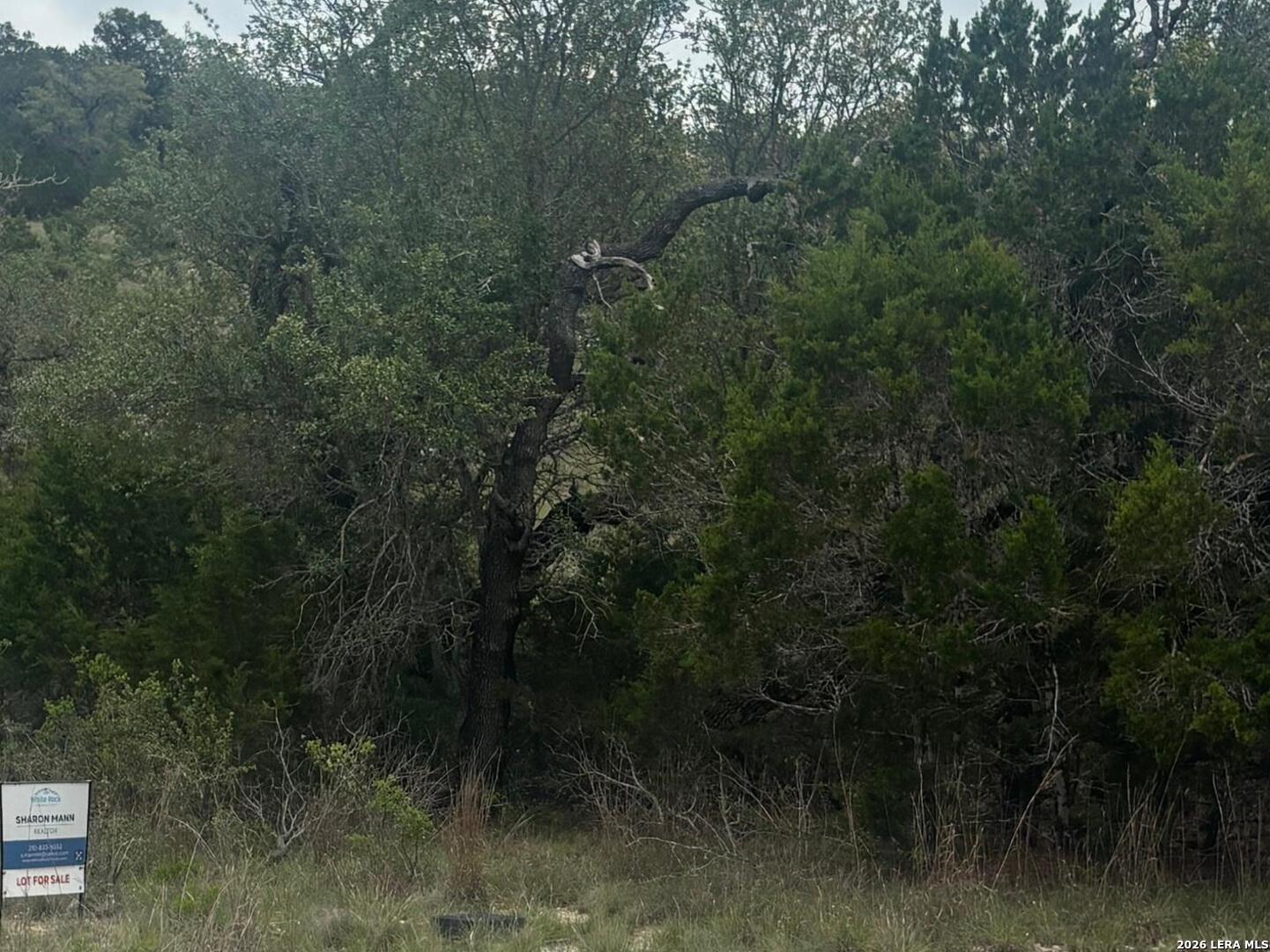 1578 Primrose Path Spring Branch, TX 78070 - Photo 10 of 10 a view of a forest with a tree