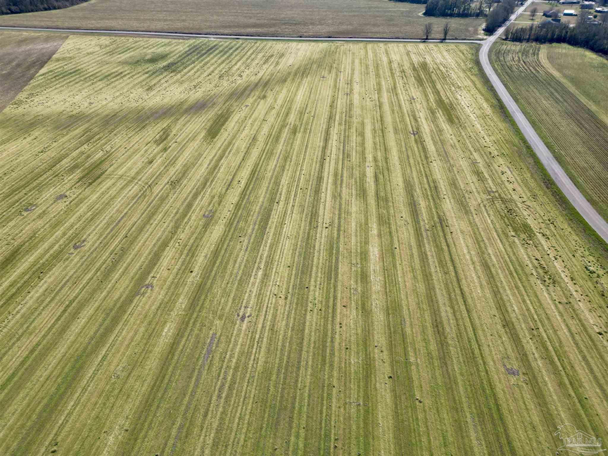 5 Cowpen Creek Road Atmore, AL 36502 - Photo 2 of 9 a view of wooden floor