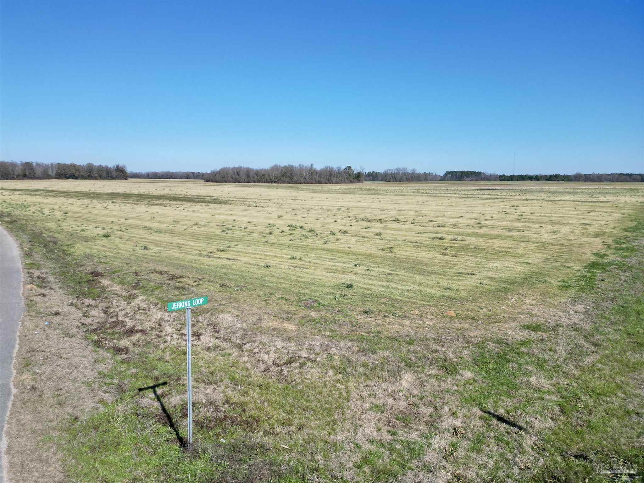 5 Cowpen Creek Road Atmore, AL 36502 - Photo 6 of 9 a view of an ocean