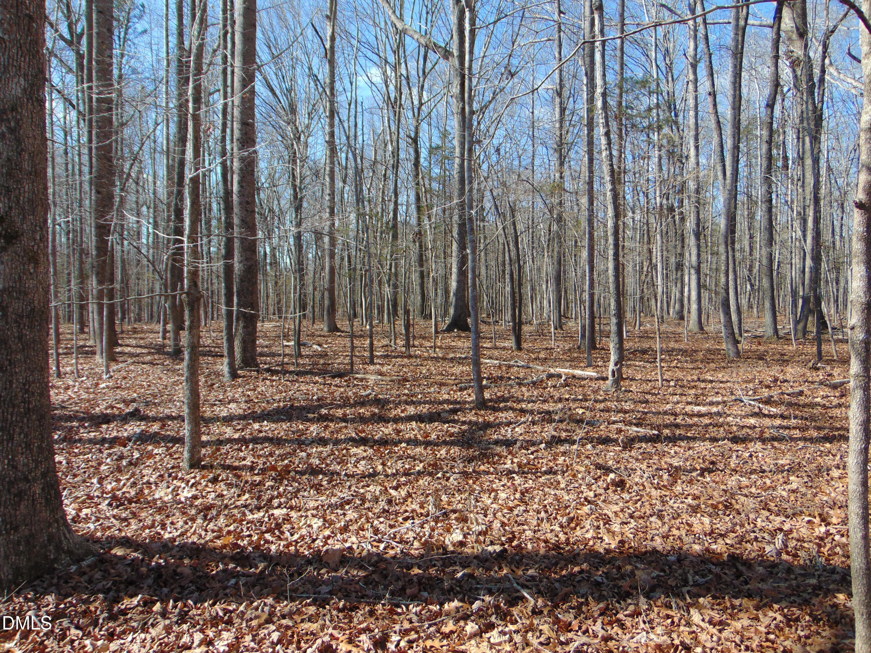 0 Barnett Road Burlington, NC 27217 - Photo 26 of 47 DSC01363
