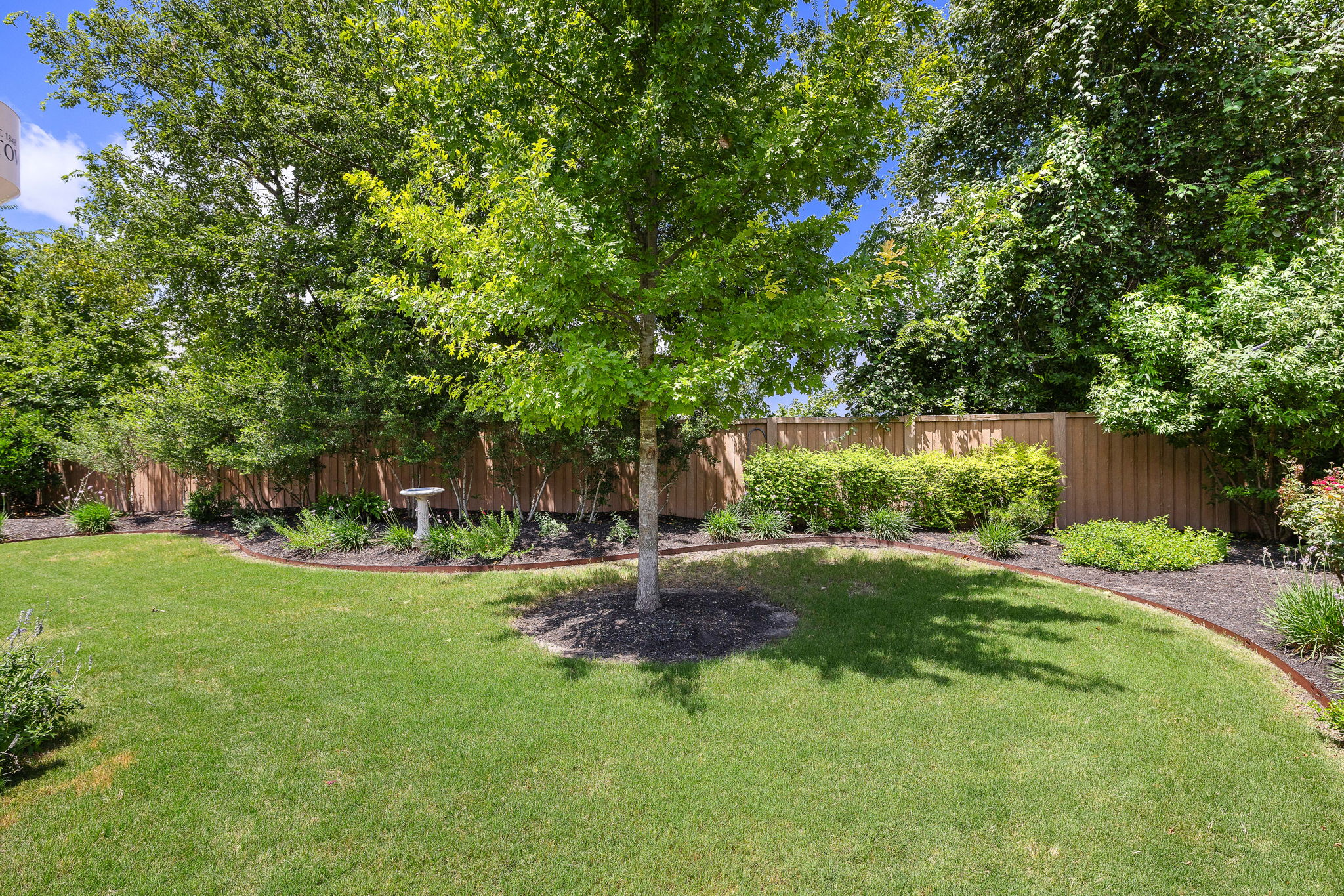 5016 Yucca Flower Lane Georgetown, TX 78626 - Photo 29 of 31 a view of backyard with green space