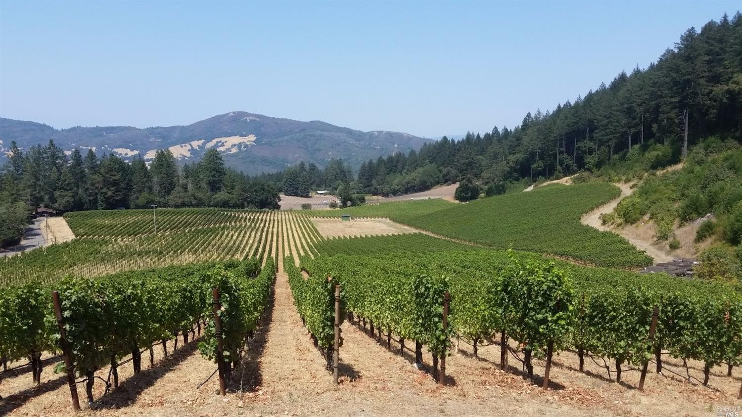 4430 Trinity Road Glen Ellen, CA 95442 - Photo 1 of 1 a view of a garden with a lake