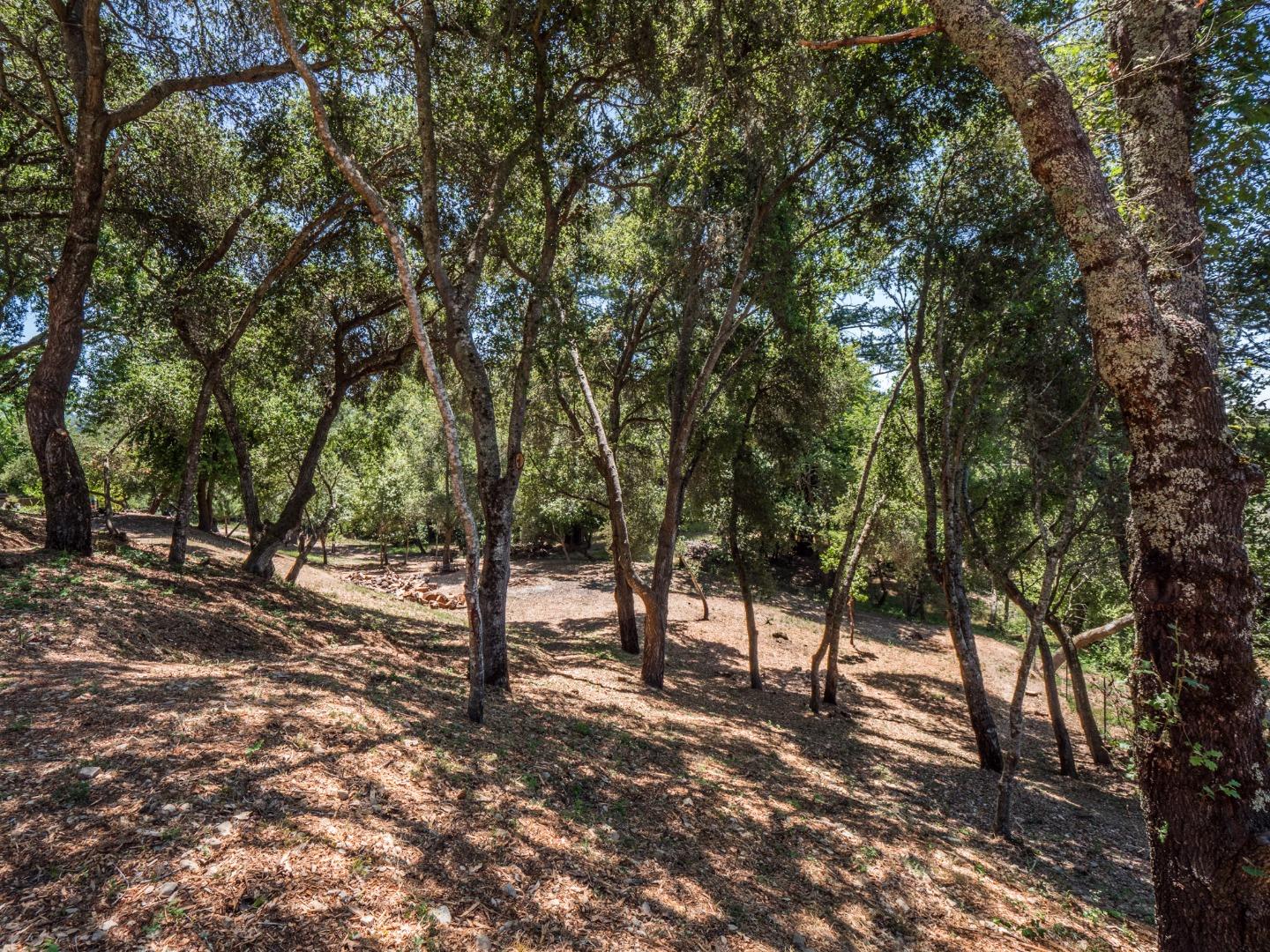 23900 Summit Road Los Gatos, CA 95033 - Photo 42 of 72 Gallery Image 42
