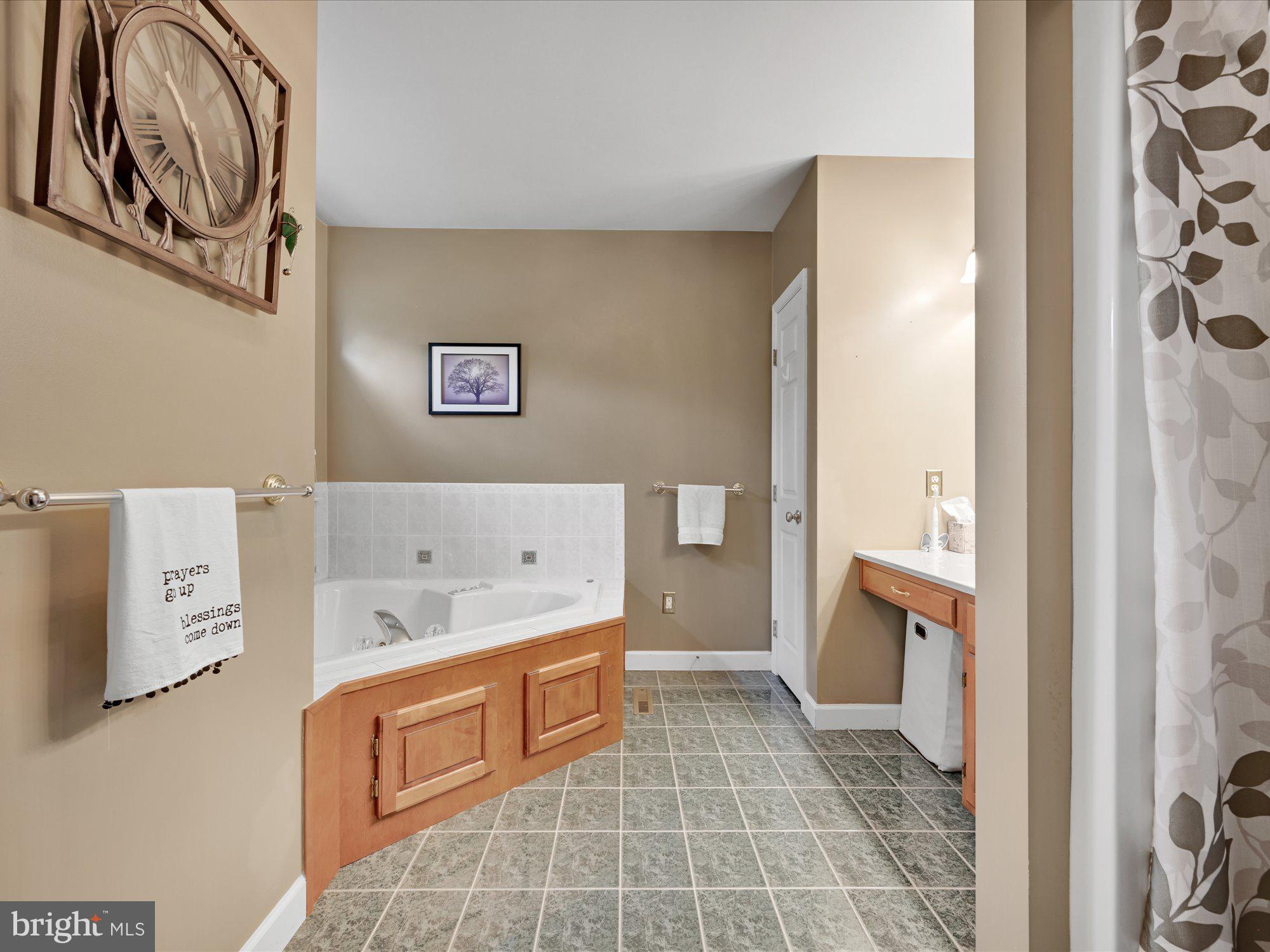 217 Atlantic Avenue Sinking Spring, PA 19608 - Photo 25 of 40 Master Bath