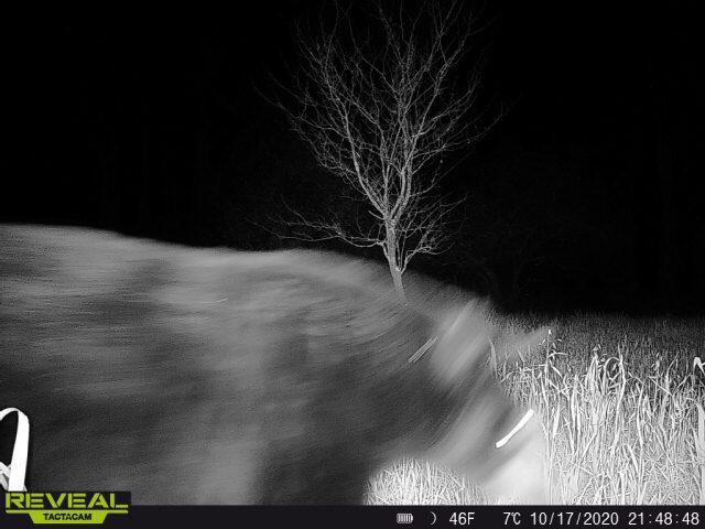 Beyer Road Road Free Soil, MI 49411 - Photo 10 of 46