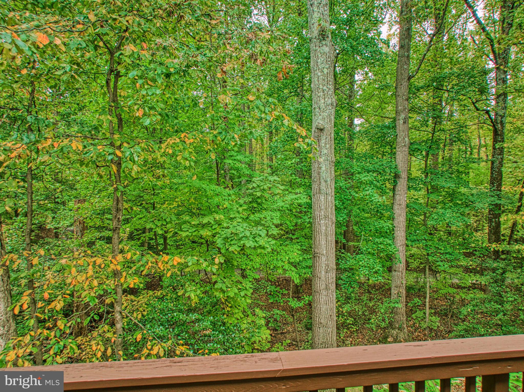 11979 Barrel Cooper Court Reston, VA 20191 - Photo 14 of 35 Your view from the deck