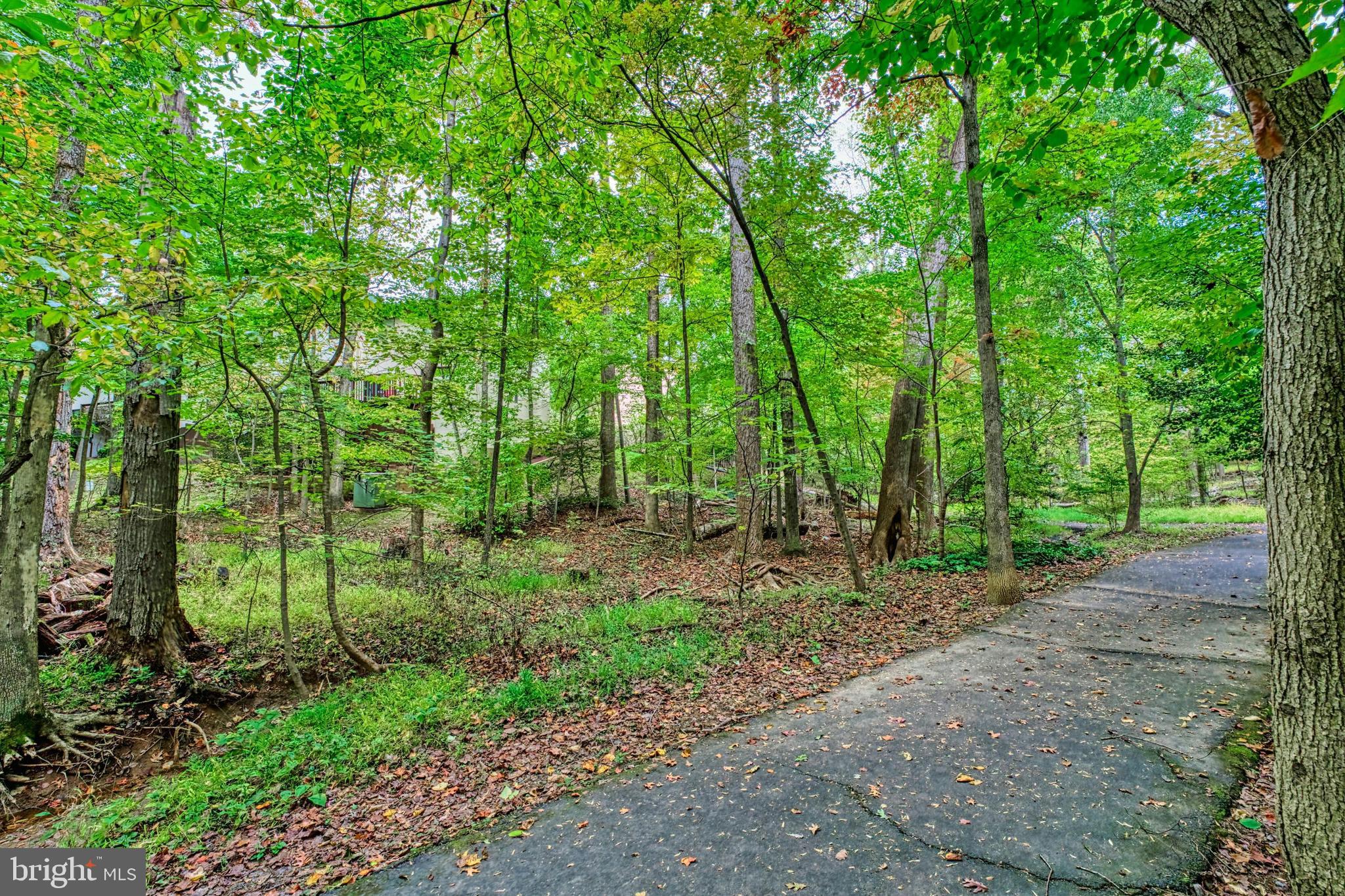 11979 Barrel Cooper Court Reston, VA 20191 - Photo 30 of 35 This is what awaits you - just outside you door.
