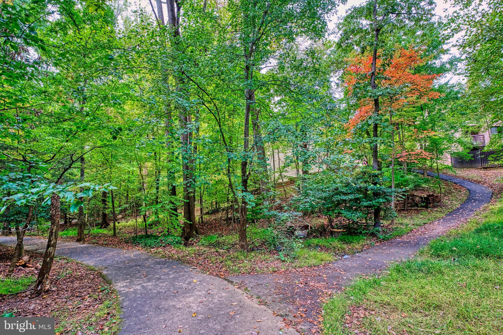 11979 Barrel Cooper Court Reston, VA 20191 - Photo 31 of 35 These are the trails that you connect to