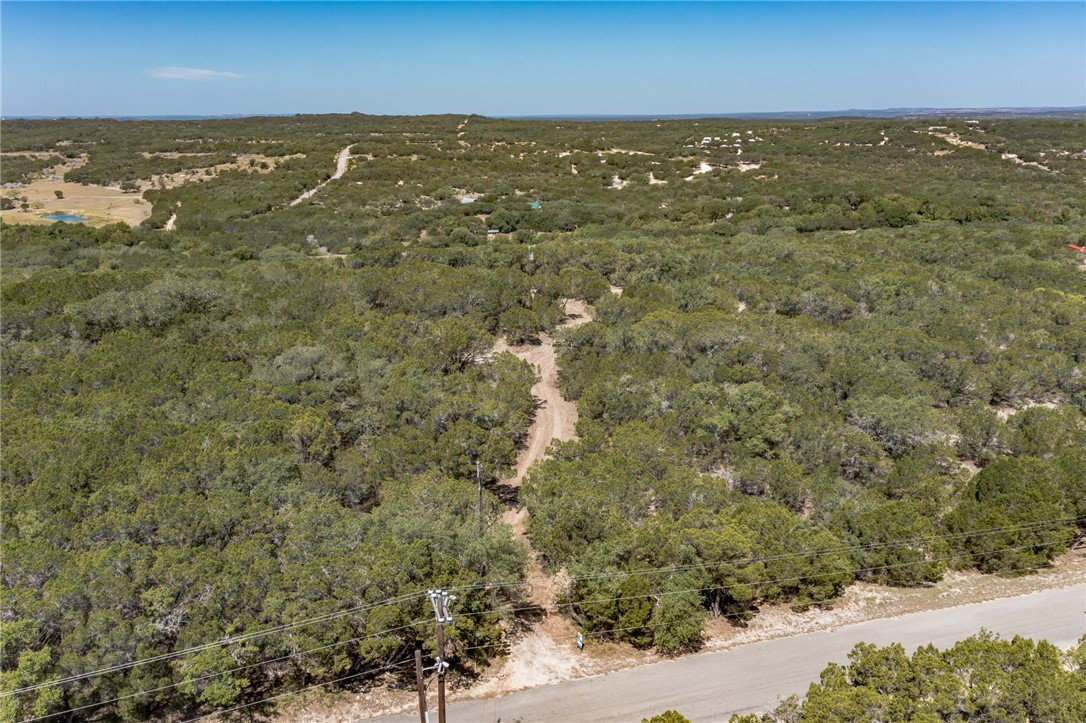 1000 Norwood Road Dripping Springs, TX 78620 - Photo 15 of 22 an aerial view of residential houses with outdoor space and trees