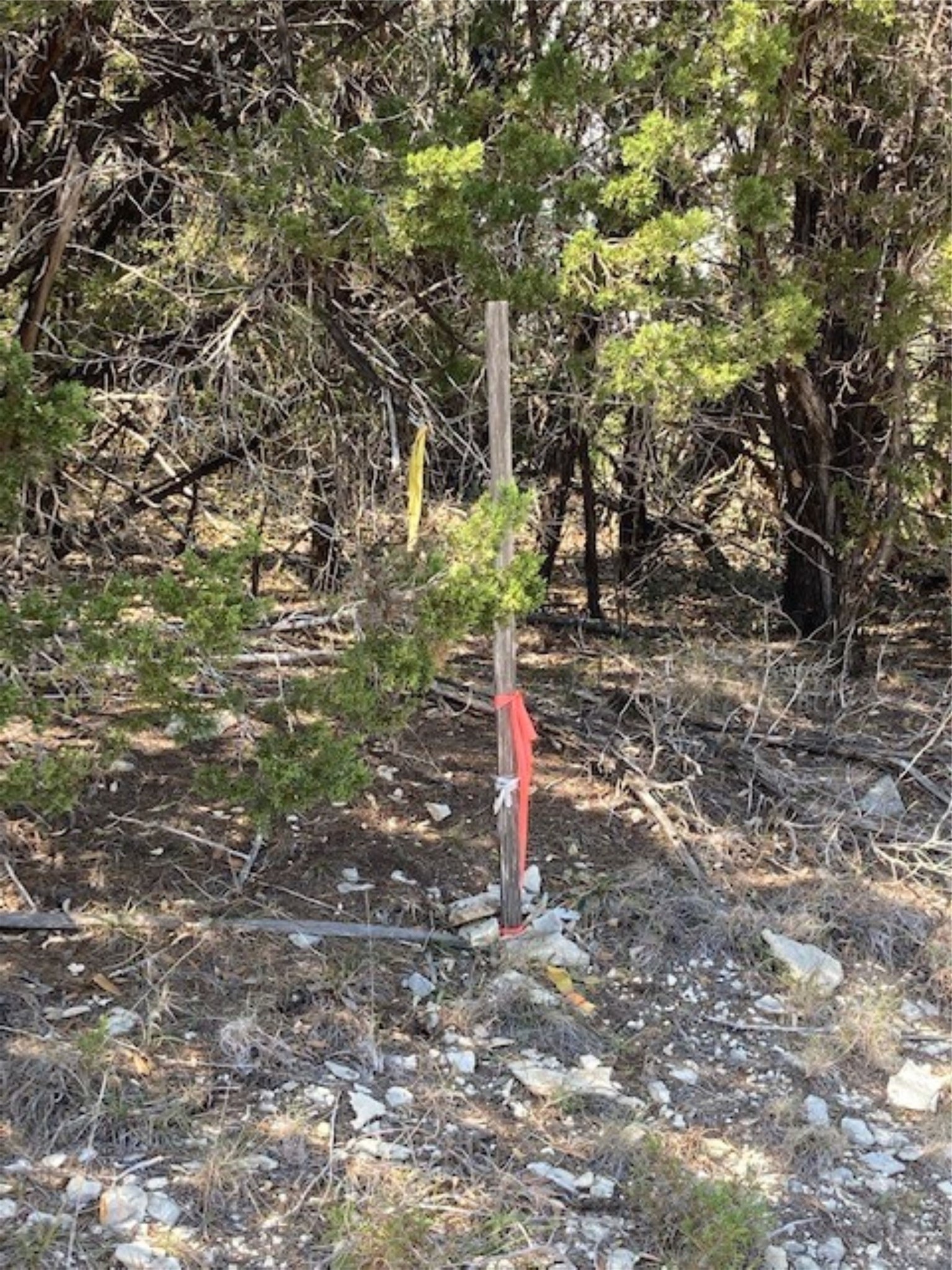 1000 Norwood Road Dripping Springs, TX 78620 - Photo 20 of 22 a flag is sitting in the middle of a yard