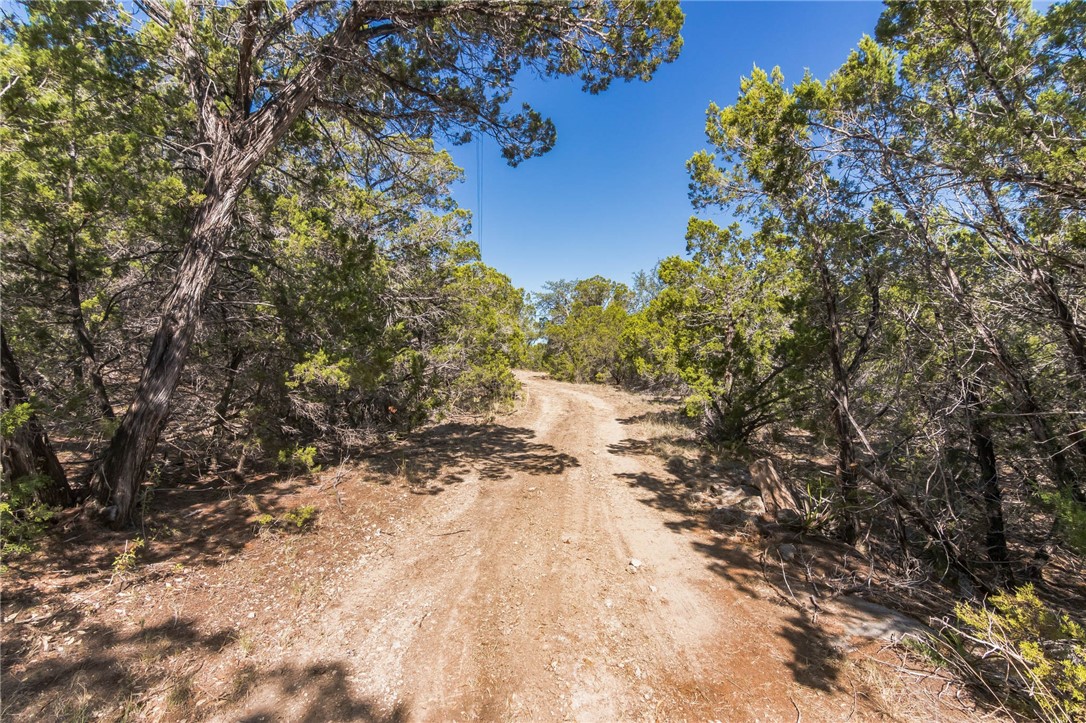 1000 Norwood Road Dripping Springs, TX 78620 - Photo 4 of 22 a view of a yard with a tree