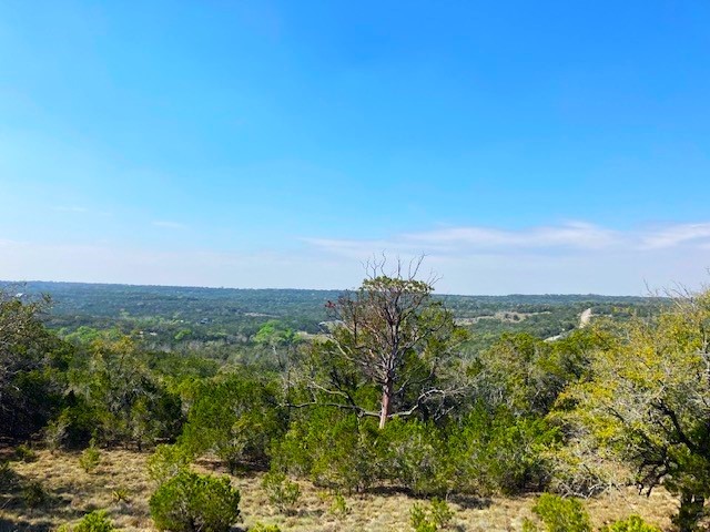 1000 Norwood Road Dripping Springs, TX 78620 - Photo 5 of 22 a view of a field with an ocean