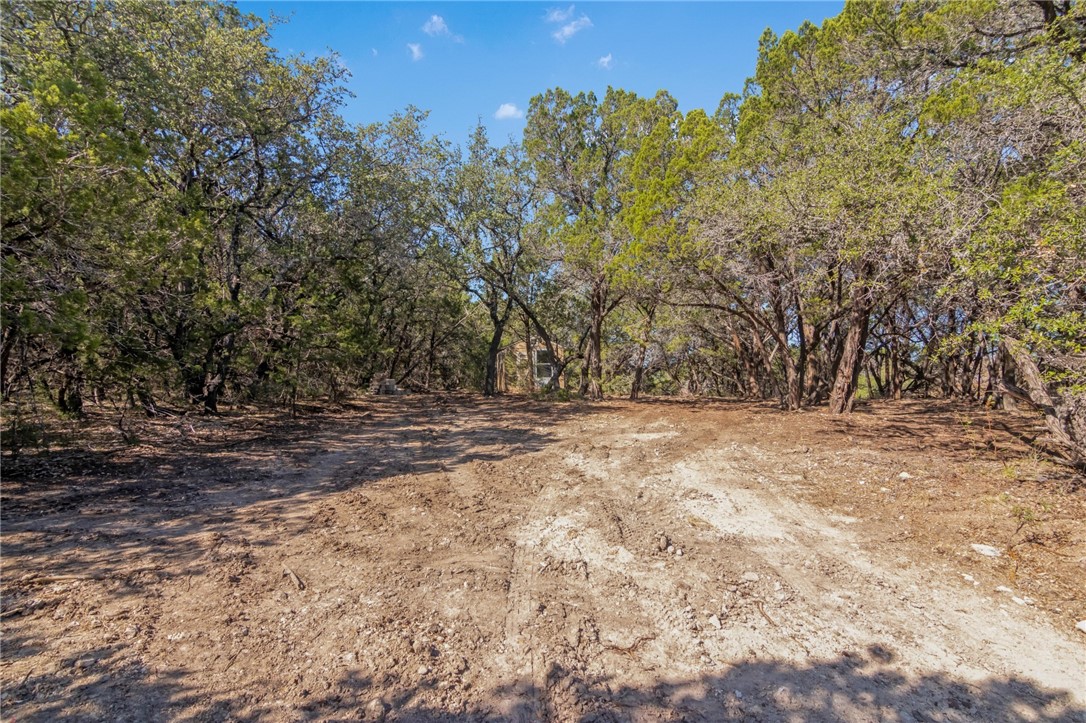 1000 Norwood Road Dripping Springs, TX 78620 - Photo 6 of 22 a view of outdoor space yard and trees