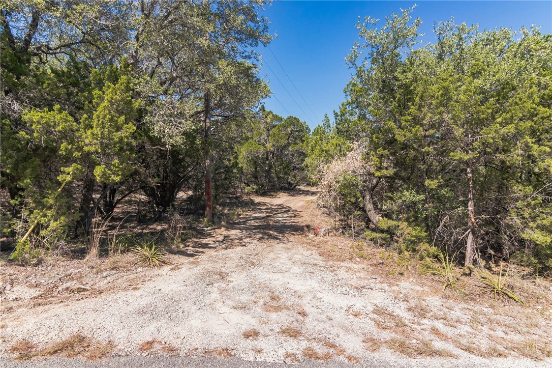 1000 Norwood Road Dripping Springs, TX 78620 - Photo 8 of 22 a view of a yard with a tree
