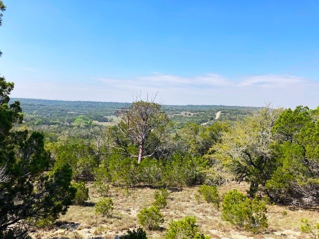 1000 Norwood Road Dripping Springs, TX 78620 - Photo 9 of 22 a view of a city with lush green forest