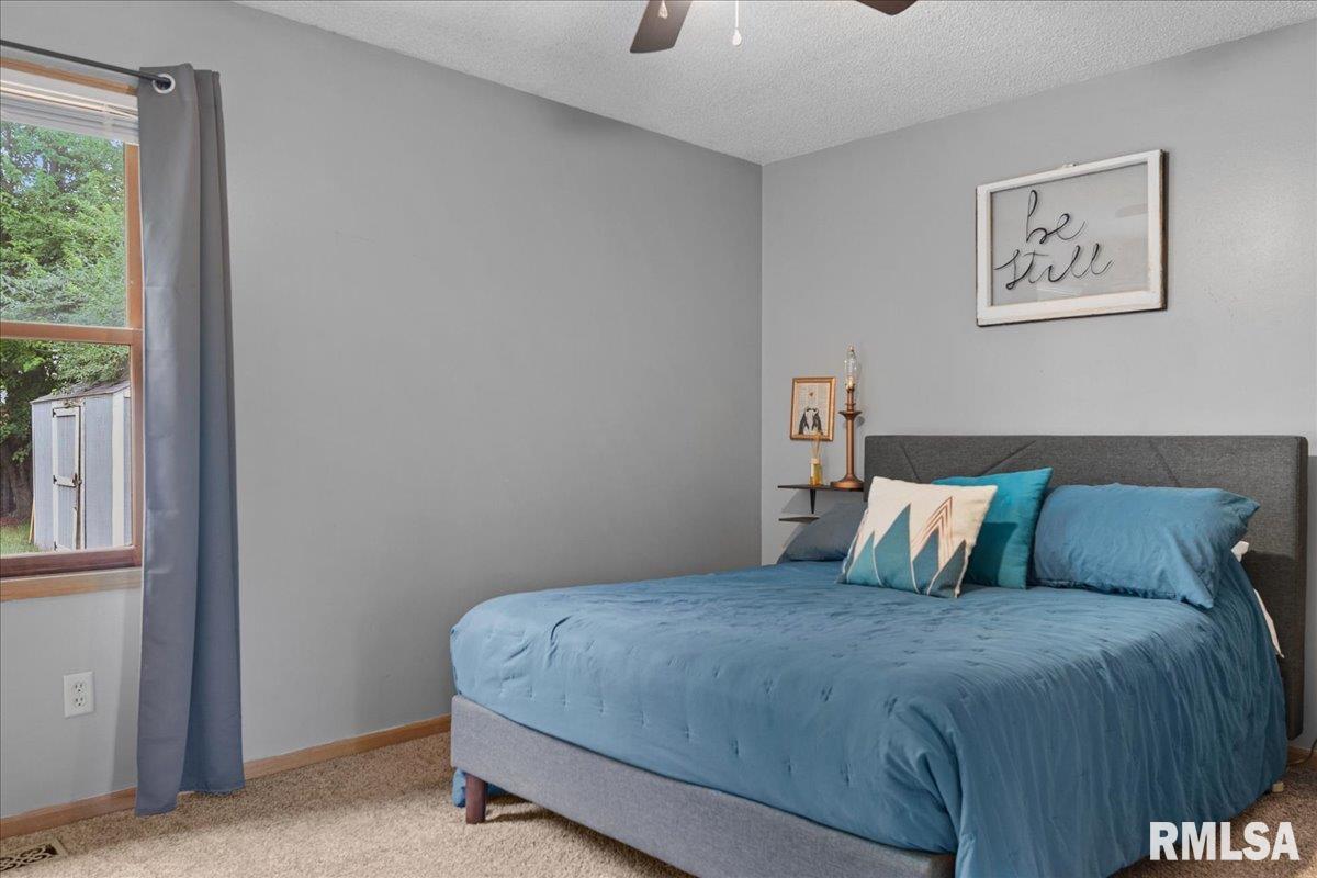 5237 Buford Street Springfield, IL 62703 - Photo 19 of 30