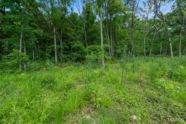 $375,000 | 12.5-ac Twin River Road, Eureka, MO 63025