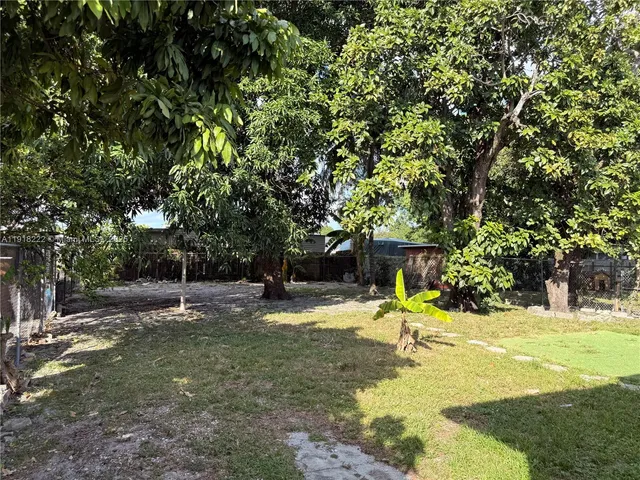 a view of a playground with a tree