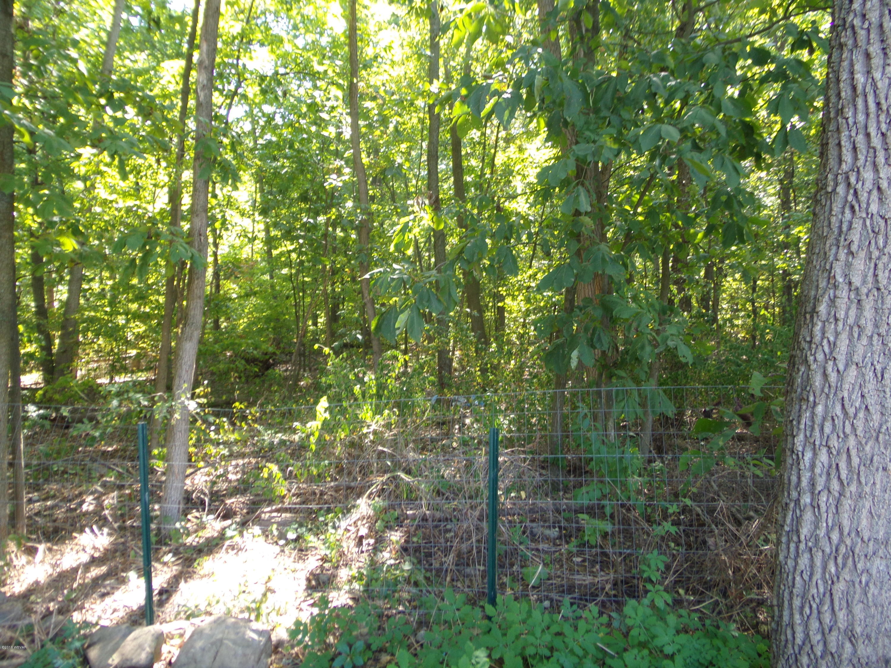 114 Spring Run Road Mill Hall, PA 17751 - Photo 5 of 19 123_2686