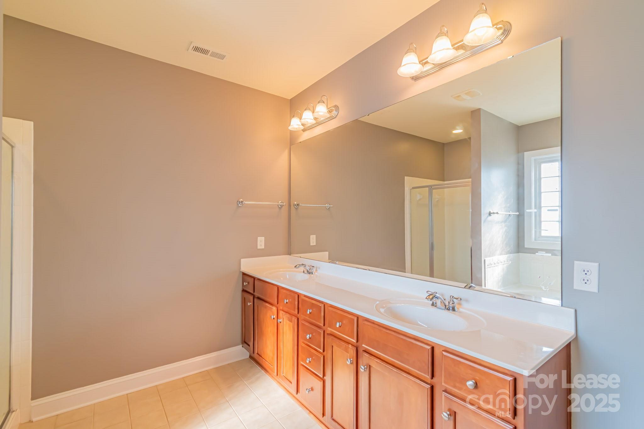 742 Revival Row Fort Mill, SC 29708 - Photo 31 of 32 a bathroom with 2 sink tub and a mirror