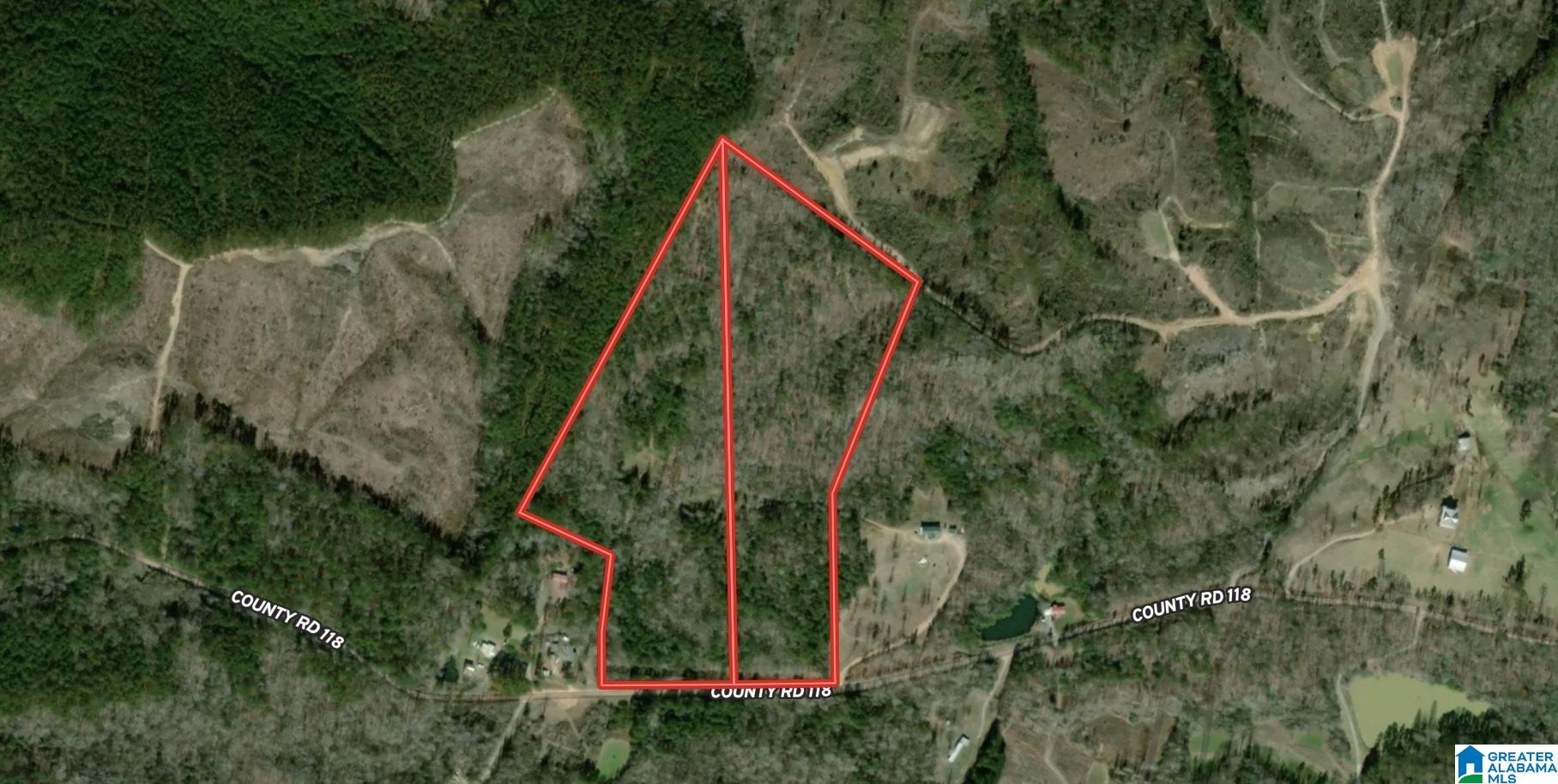 0 County Road 118, Unit 1 Jemison, AL 35085 - Photo 2 of 2