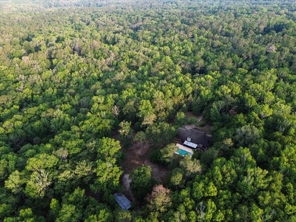 22731 Northwest 91st Court Road Micanopy, FL 32667 - Photo 53 of 56