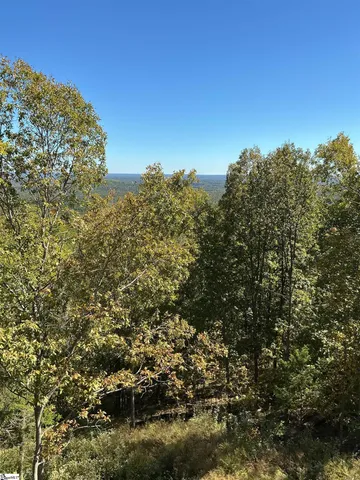 $1,500,000 | 811 Raven Road, Landrum, SC 29356