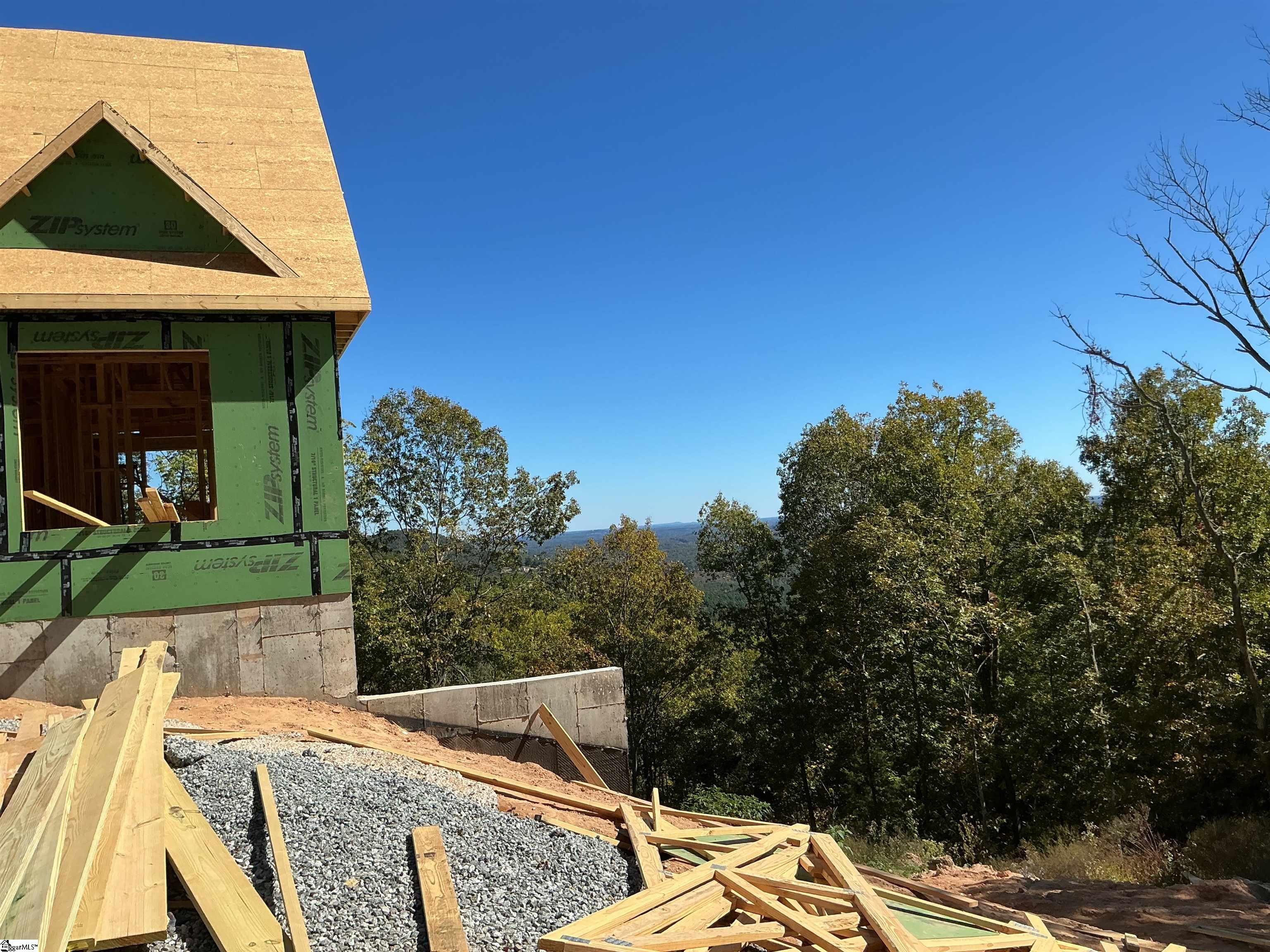 811 Raven Road Landrum, SC 29356 - Photo 6 of 8