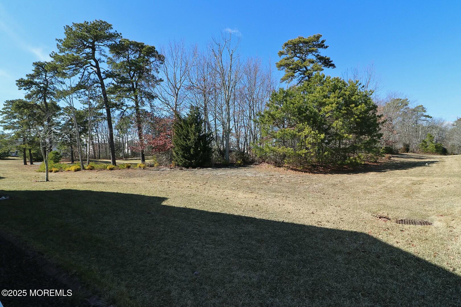 2 Manasquan Road Waretown, NJ 08758 - Photo 46 of 91 a view of outdoor space with trees