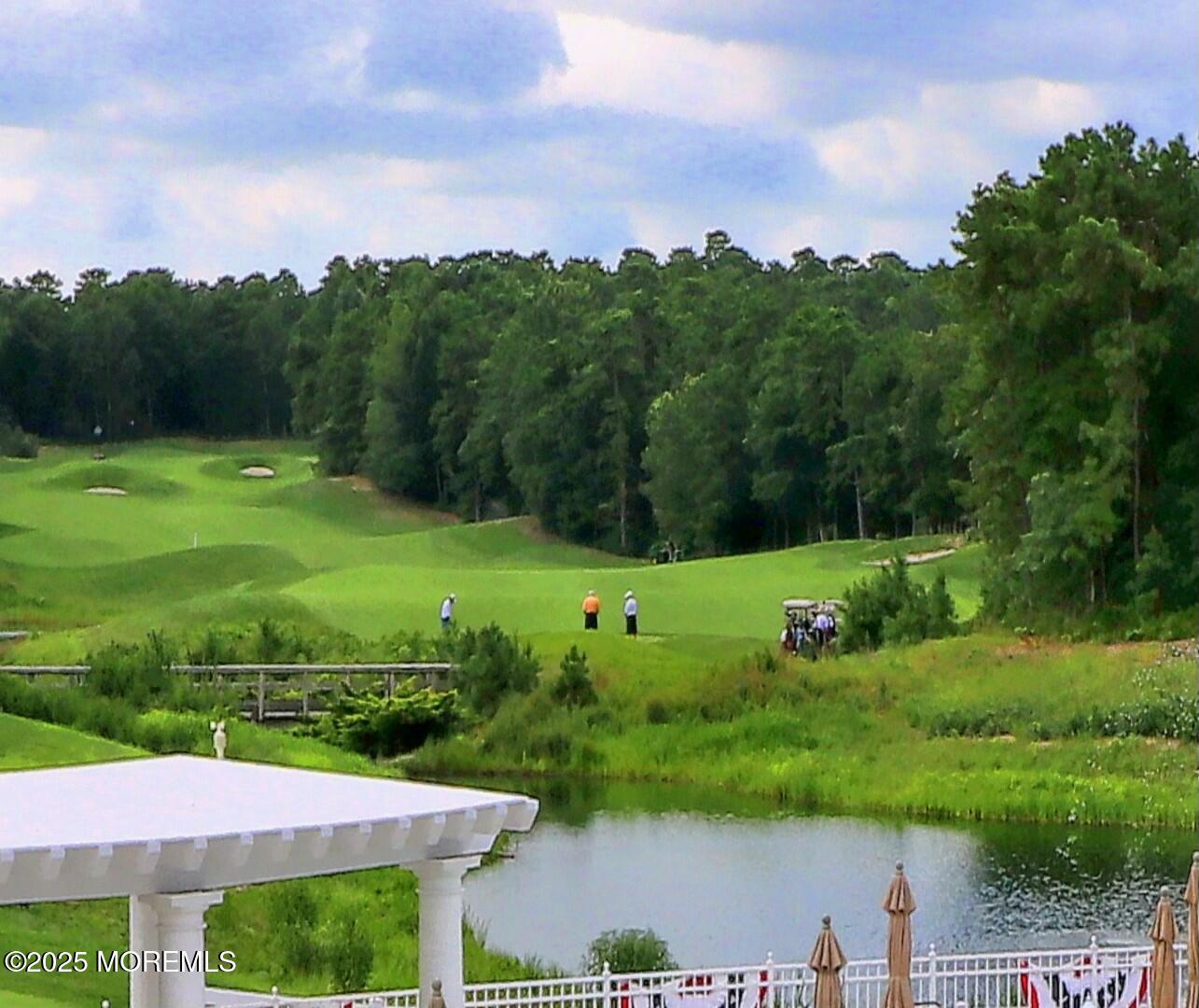 2 Manasquan Road Waretown, NJ 08758 - Photo 87 of 91 a view of a garden with an outdoor space
