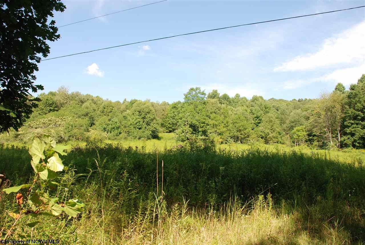 0 Mount Olivet Church Road Aurora, WV 26705 - Photo 2 of 5 Gallery Image 2