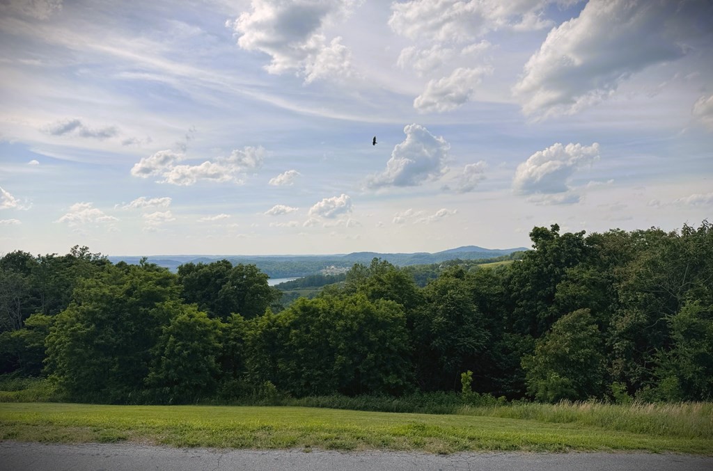 82 C Mallard Road Hilham, TN 38568 - Photo 7 of 21