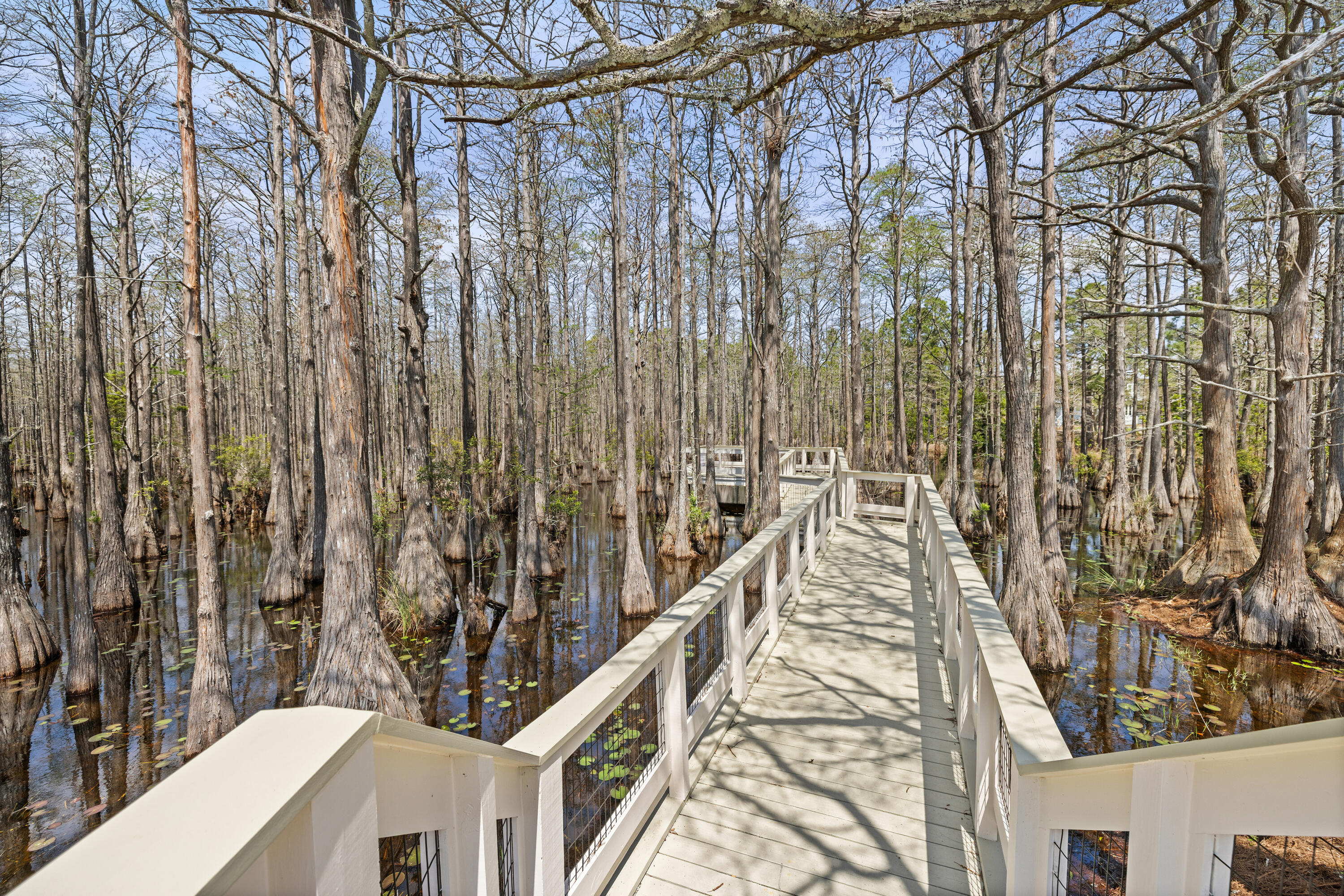 324 Cypress Drive Santa Rosa Beach, FL 32459 - Photo 57 of 66 Walking trail