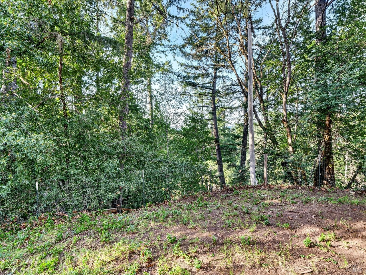 10701 Orr Springs Road Ukiah, CA 95482 - Photo 34 of 52 a view of outdoor space and trees
