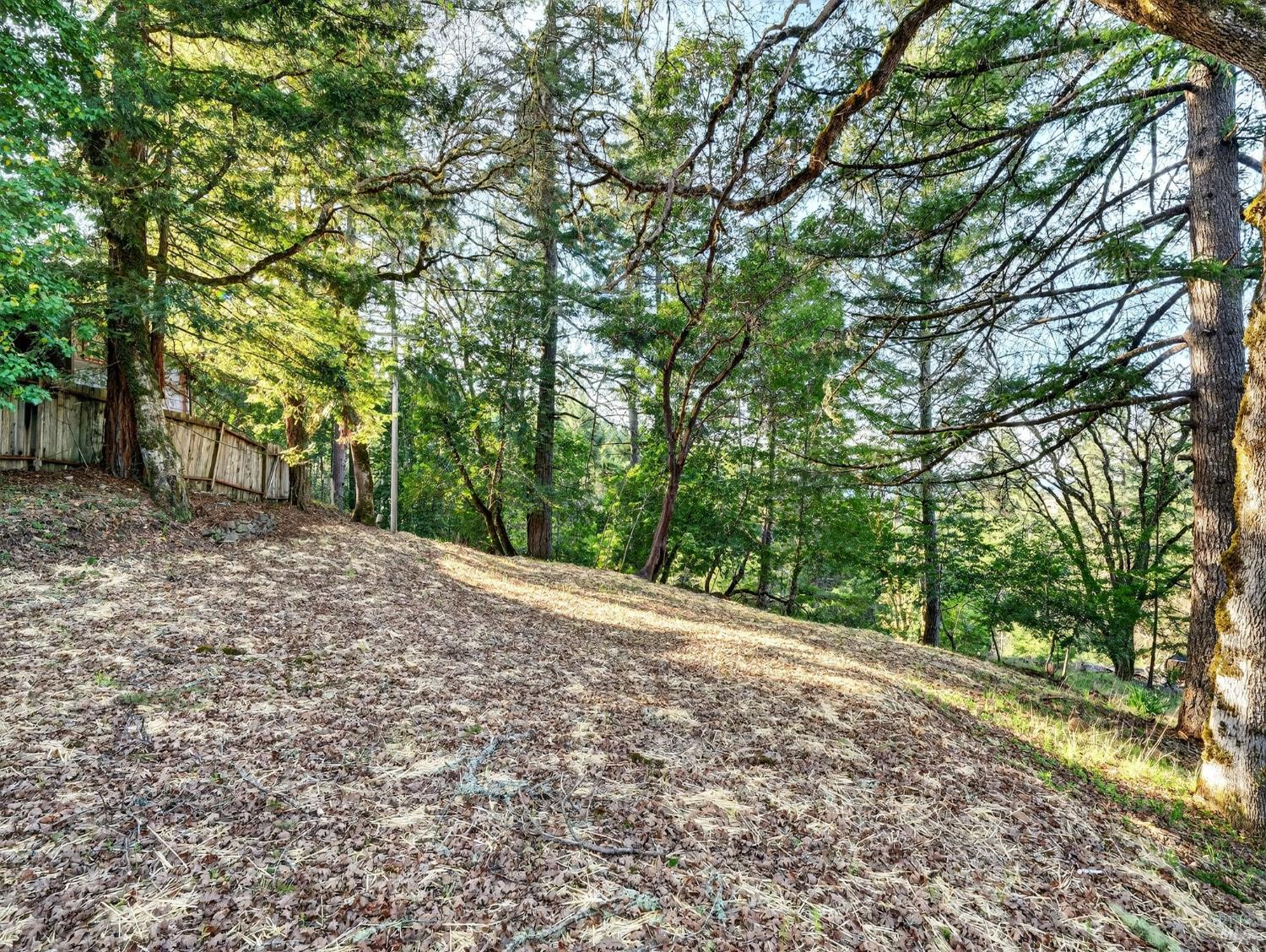 10701 Orr Springs Road Ukiah, CA 95482 - Photo 42 of 52 a view of a yard with plants and trees