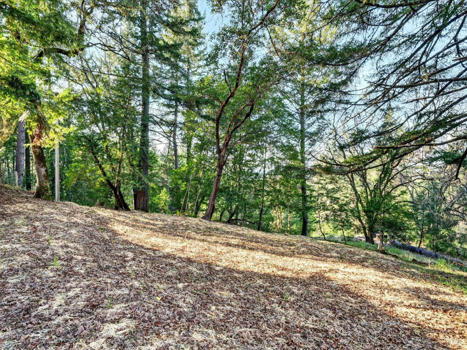 10701 Orr Springs Road Ukiah, CA 95482 - Photo 43 of 52 a view of a yard with large trees