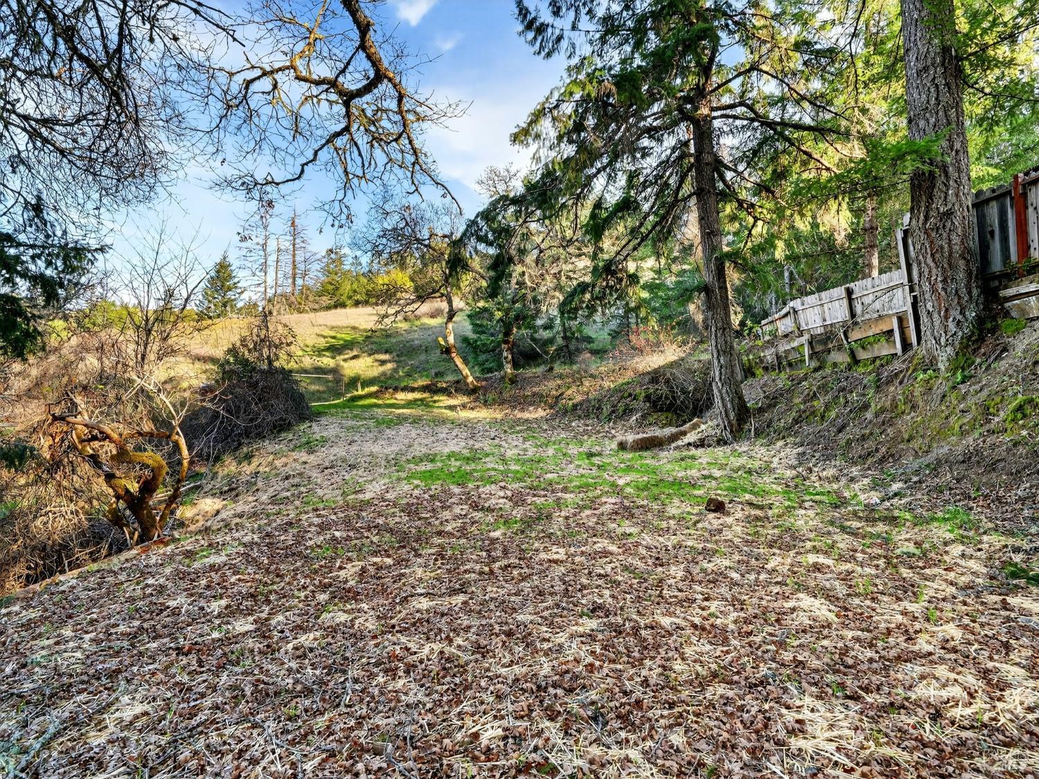 10701 Orr Springs Road Ukiah, CA 95482 - Photo 44 of 52 a backyard of a house
