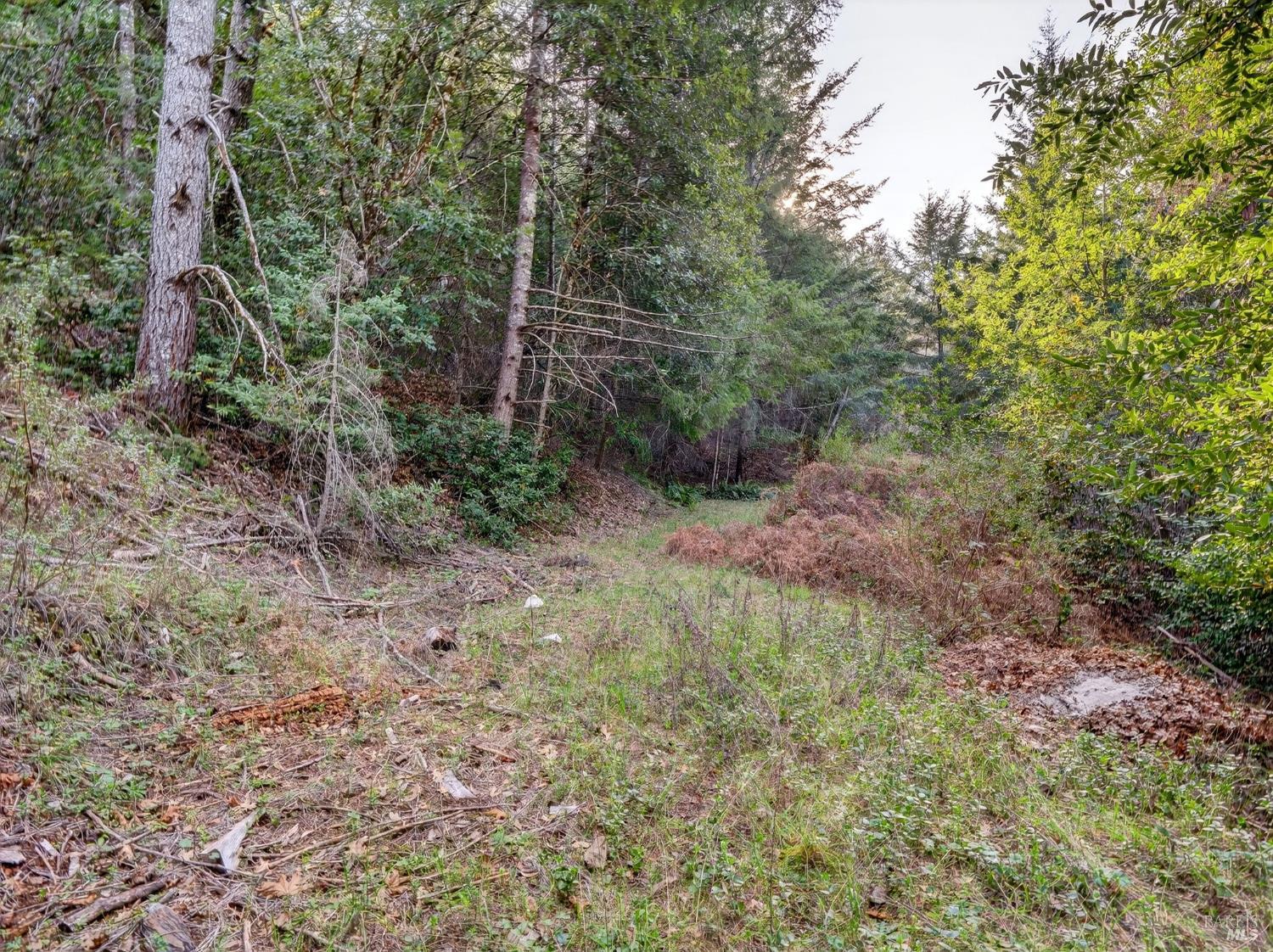 10701 Orr Springs Road Ukiah, CA 95482 - Photo 45 of 52 a view of a forest with trees in the background