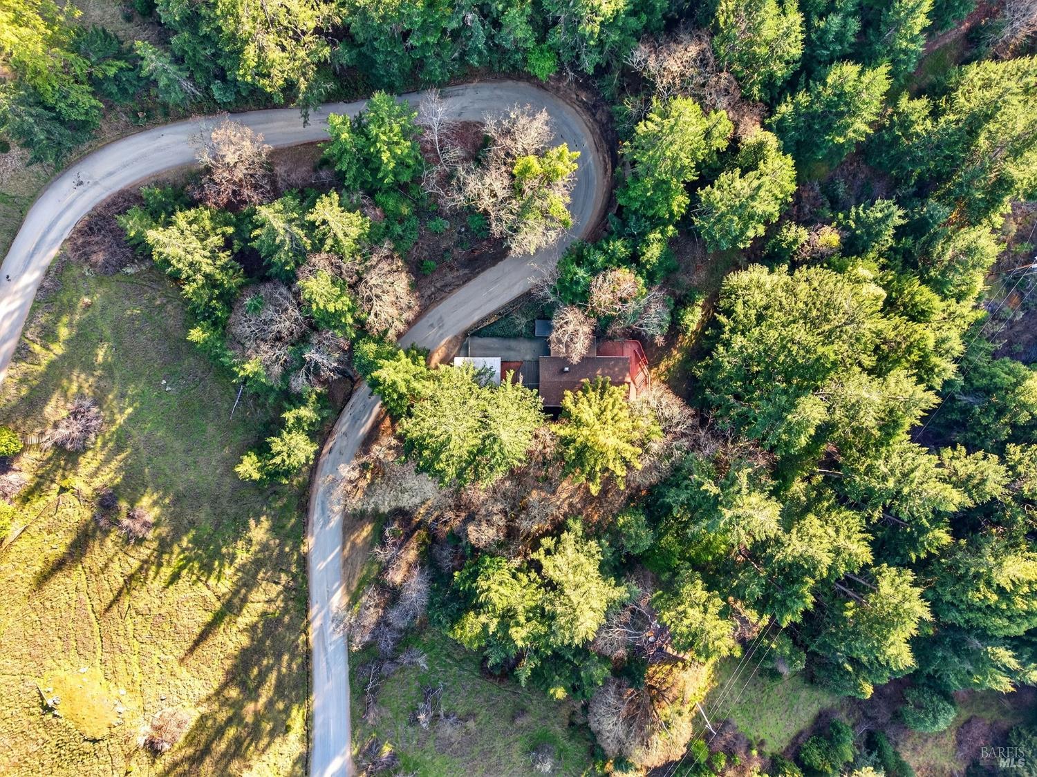 10701 Orr Springs Road Ukiah, CA 95482 - Photo 46 of 52 a picture of flowers