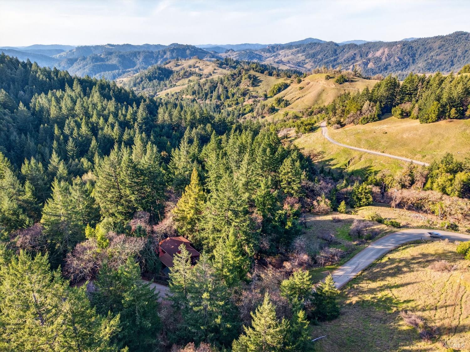 10701 Orr Springs Road Ukiah, CA 95482 - Photo 50 of 52 a view of a forest with a street