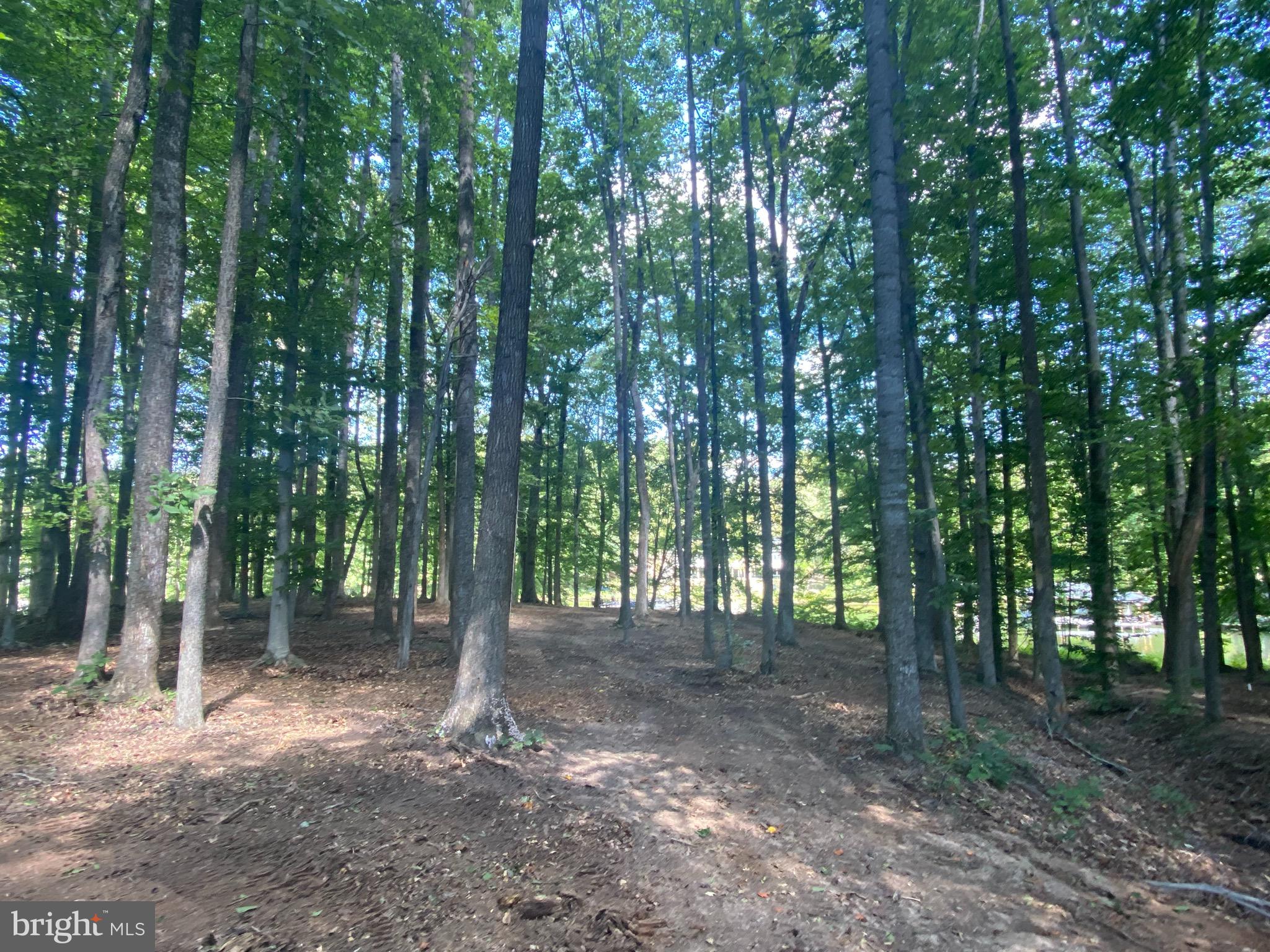 22 Deep Creek Circle Bumpass, VA 23024 - Photo 13 of 14