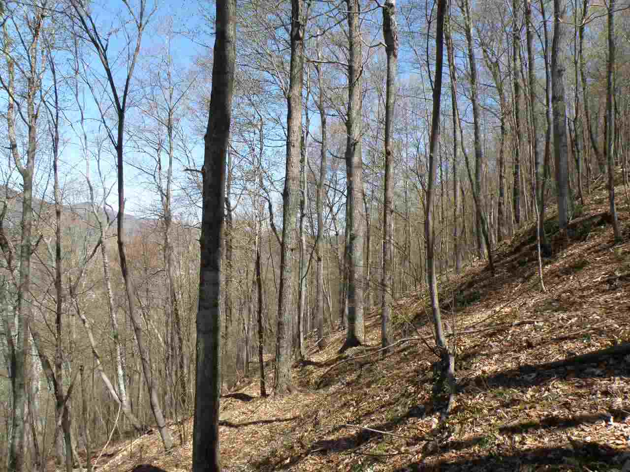 Gallery Image 7