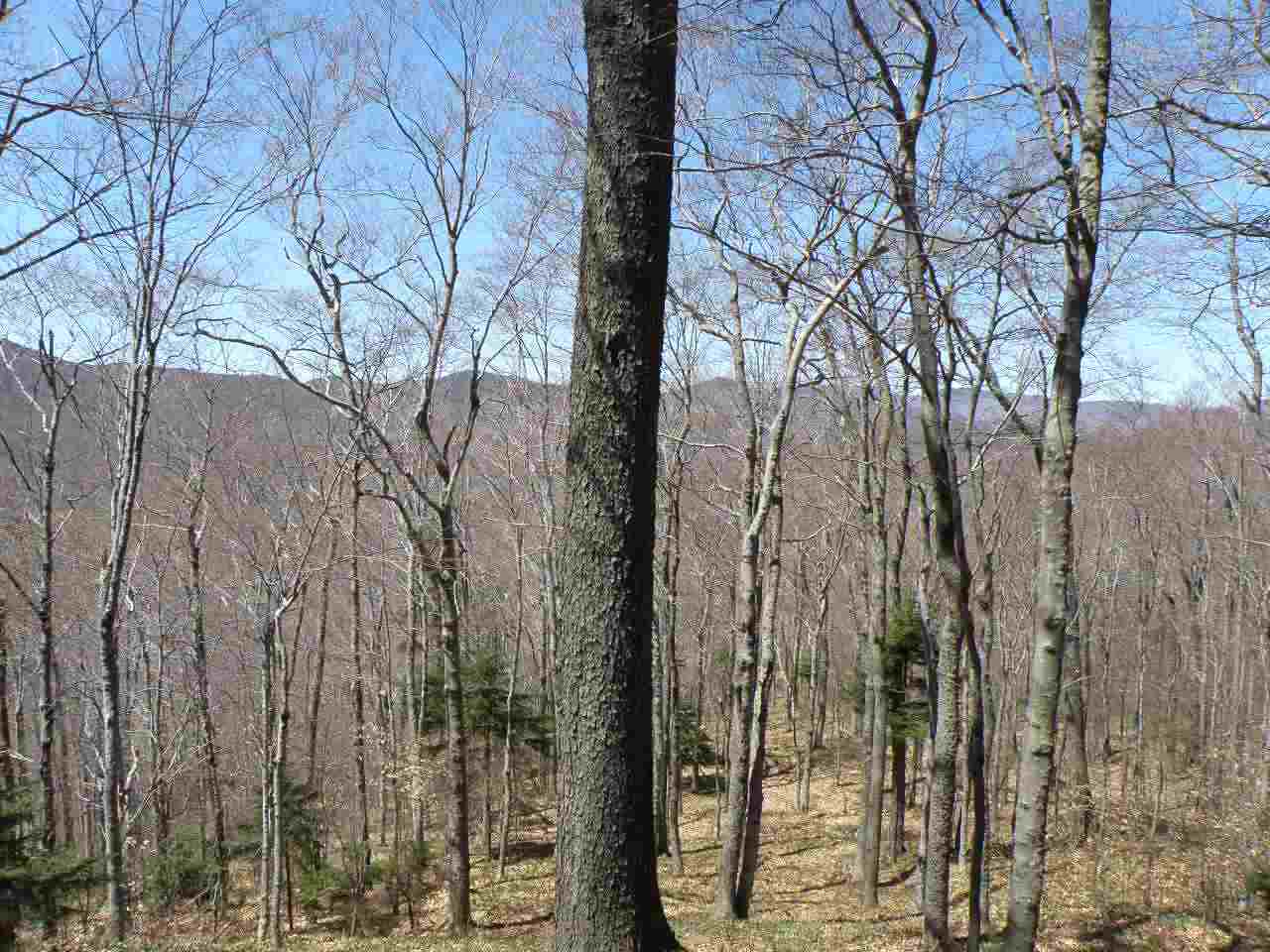 0 South Hill Road Pittsfield, VT 05762 - Photo 8 of 12 Gallery Image 8