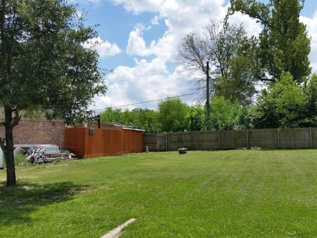 a view of a backyard