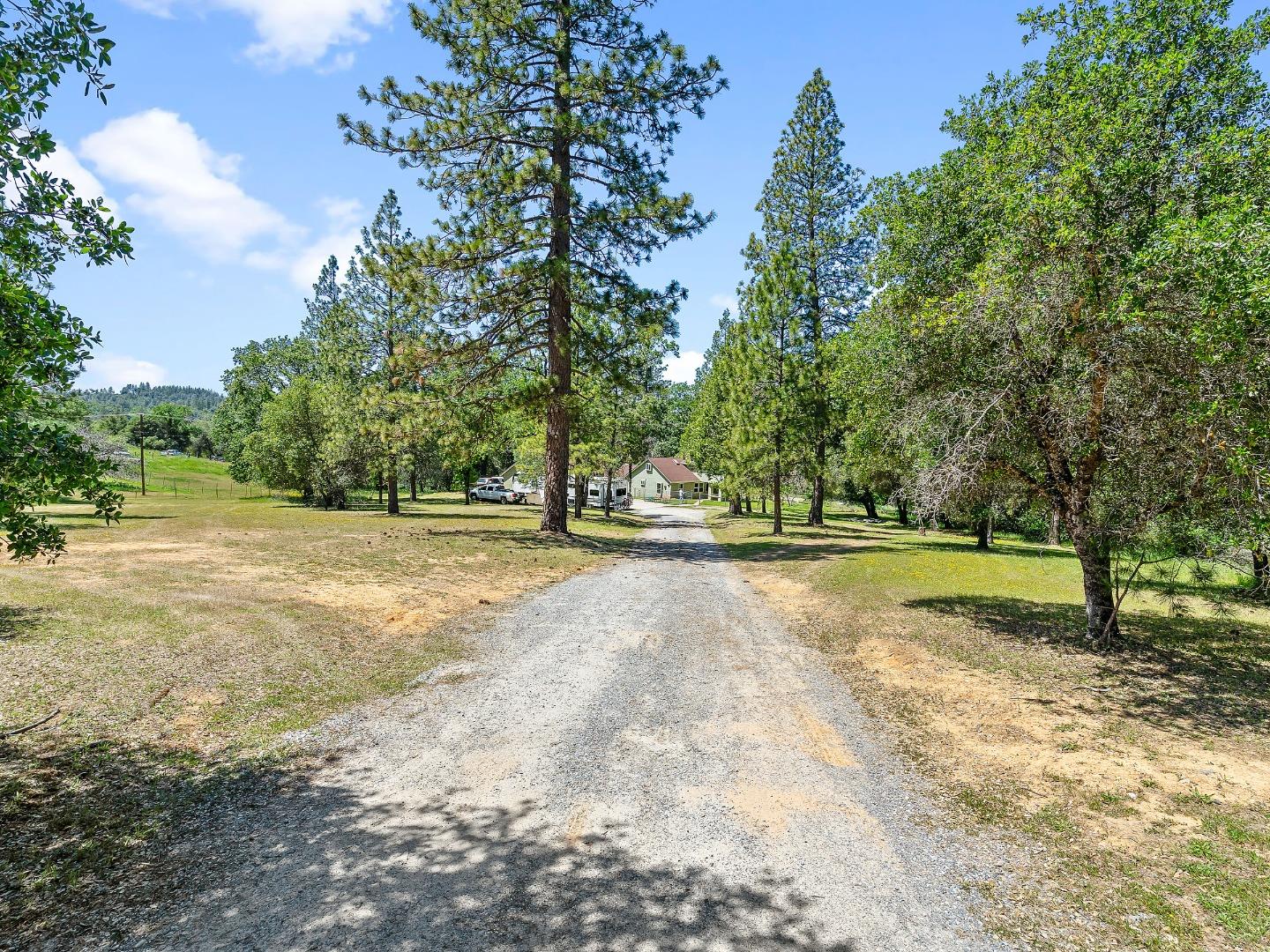 3640 Coon Hollow Road Placerville, CA 95667 - Photo 1 of 18 Gallery Image 1