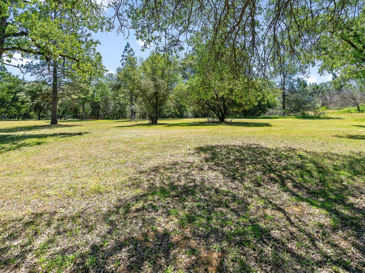 3640 Coon Hollow Road Placerville, CA 95667 - Photo 18 of 18 Gallery Image 18