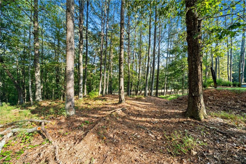 3204 Reavis Mountain Road Ball Ground, GA 30107 - Photo 74 of 84 Gallery Image 74