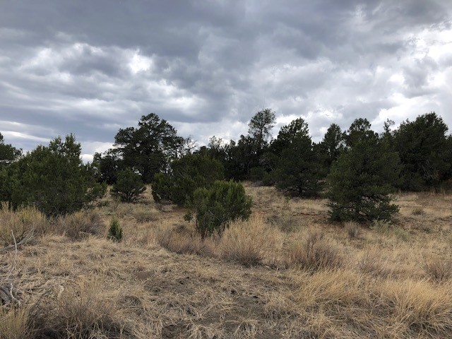 394 Candy Kitchen Road Ramah, NM 87357 - Photo 25 of 29